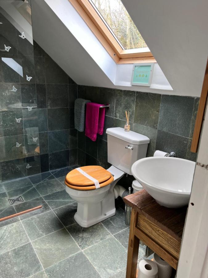Studio Apartment Wells Bagian luar foto